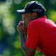 Illustration for article titled Tiger Woods: "I Peaked At 11"